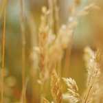 How To Accomplish A Big Lofty Goal That Seems Almost Impossible