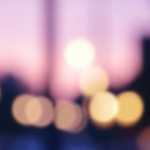 3 Things To Do Daily For Success In Life
