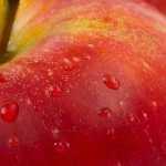 How To Maximize Your Cardio Through Nutrition