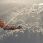 Your Dreams Are Too Small