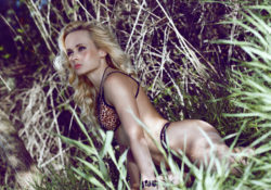 Biology and Women by Charles Sledge