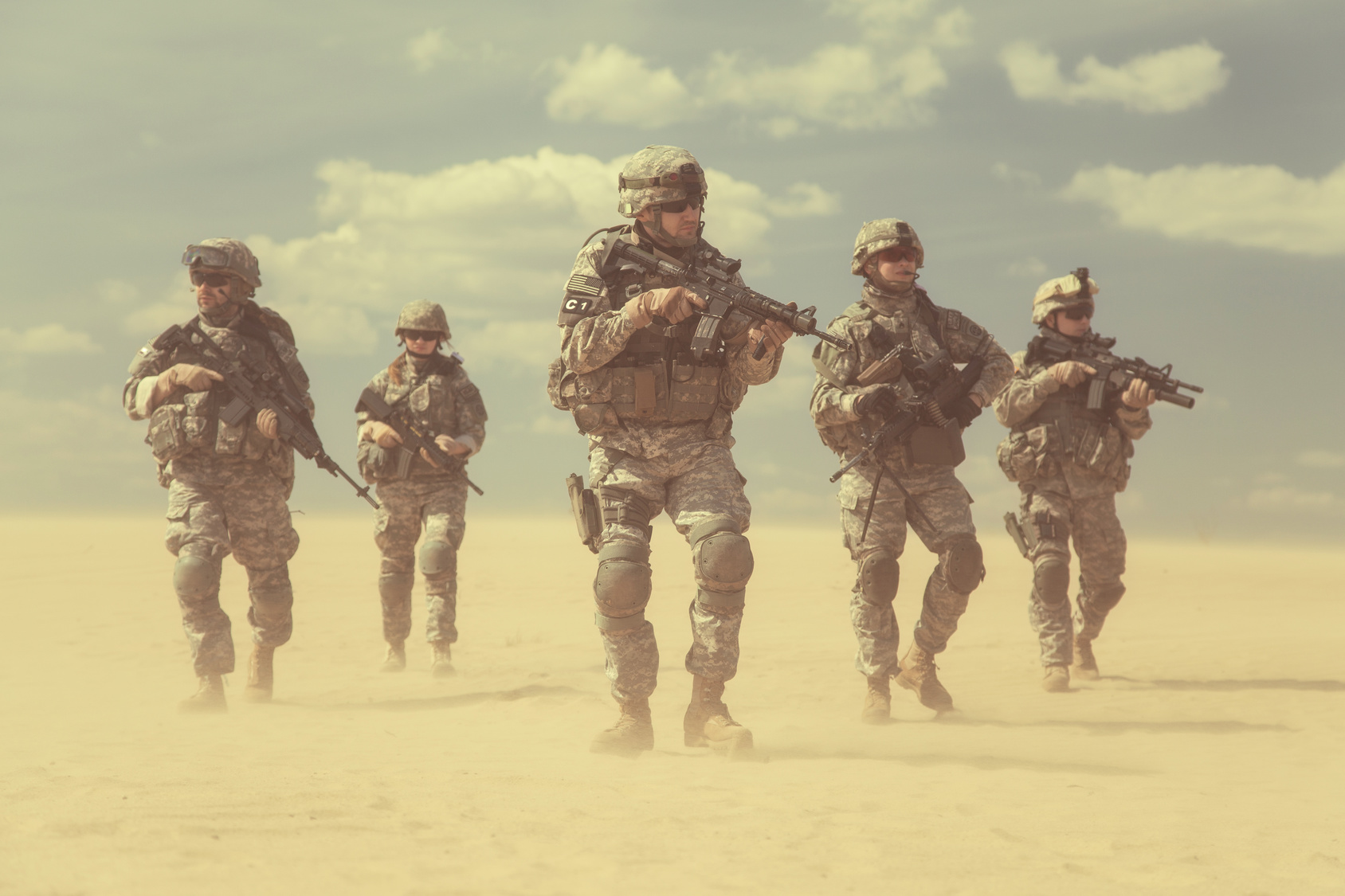 The Will To Fight by Charles Sledge