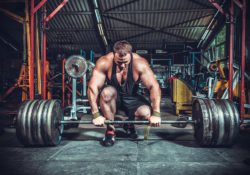 Training Template For The Natural Trainee by Charles Sledge