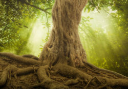 Honor Your Name by Charles Sledge