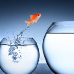 The Importance Of A Can Do Attitude