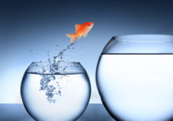 The Importance Of A Can Do Attitude by Charles Sledge