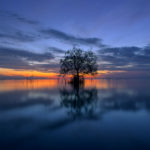 The Importance Of Solitude