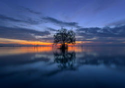 The Importance Of Solitude by Charles Sledge