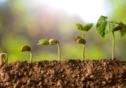 One Thing That All Successful People Share In Common by Charles Sledge