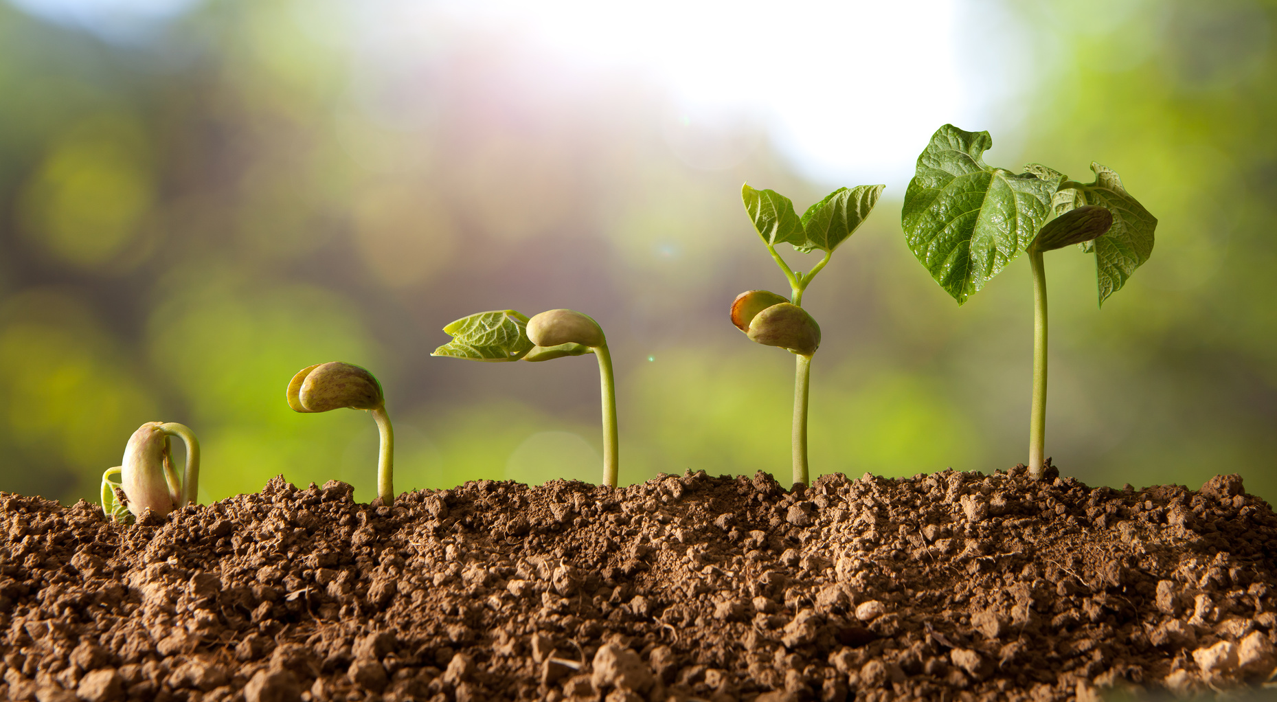 One Thing That All Successful People Share In Common by Charles Sledge