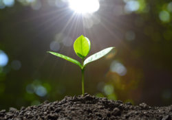 How To Grow More In A Month Than Most Do In Their Lifetimes by Charles Sledge