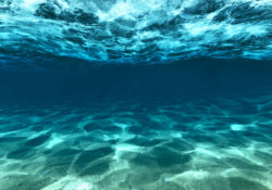 Total Immersion For Advanced Learning by Charles Sledge