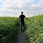 Always Be Willing To Walk Away