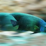 How To Get 2x The Amount Of Information From Videos