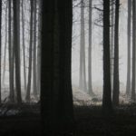 The Antidote To Fear