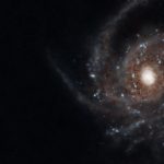 There Is No Replacement For Masculinity