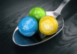 The Most Important Macronutrient For Optimal Testosterone Production by Charles Sledge