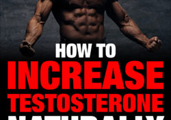 How To Increase Testosterone Naturally: The How & Why Of Getting High Levels Of Testosterone Naturally by Charles Sledge