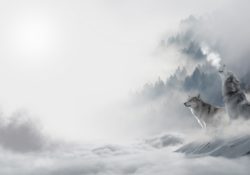 Snakes & Wolves by Charles Sledge