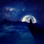 3 Strategies For Lone Wolves & Sigmas To Get The Most Out Of Life