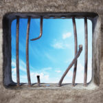 Gaining Freedom In An Unfree World