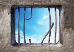 Gaining Freedom In An Unfree World by Charles Sledge