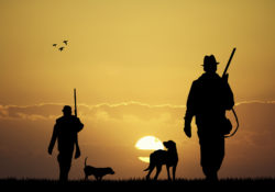 The Natural Professions Of Man by Charles Sledge