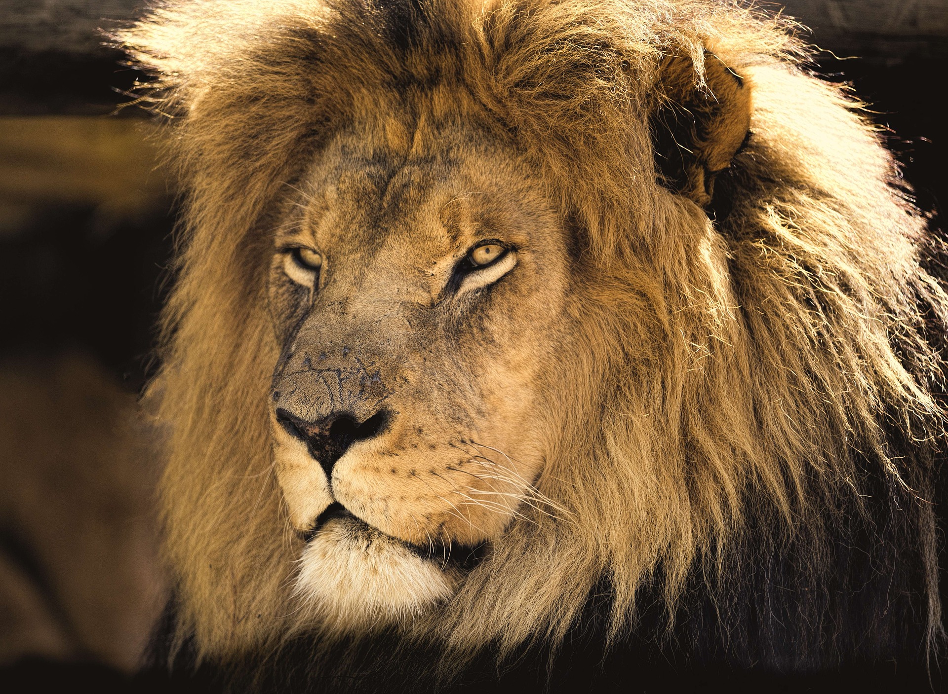 3 Ways That Simply Being A Man Is The New Counterculture by Charles Sledge
