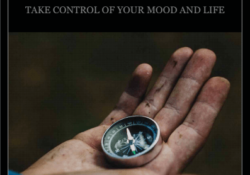 Review of Man's Guide To Wellbeing by Regan Jacklin by Charles Sledge
