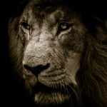 3 Tenets To Becoming The Strongest Man That You Can Possible Be