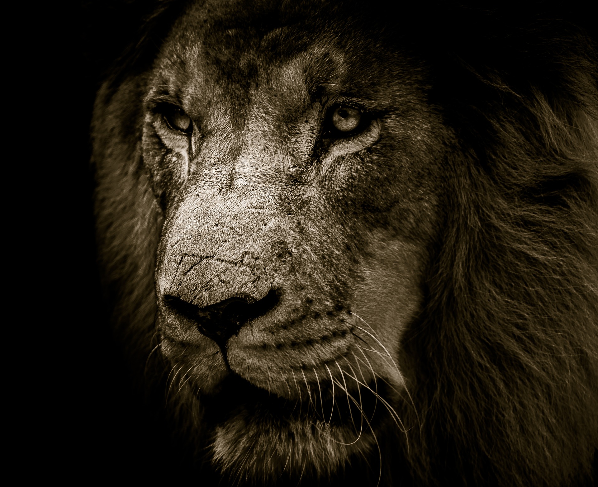 3 Tenets To Becoming The Strongest Man That You Can Possible Be by Charles Sledge