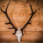 3 Tribalist Books Ever Red Piller Needs To Read