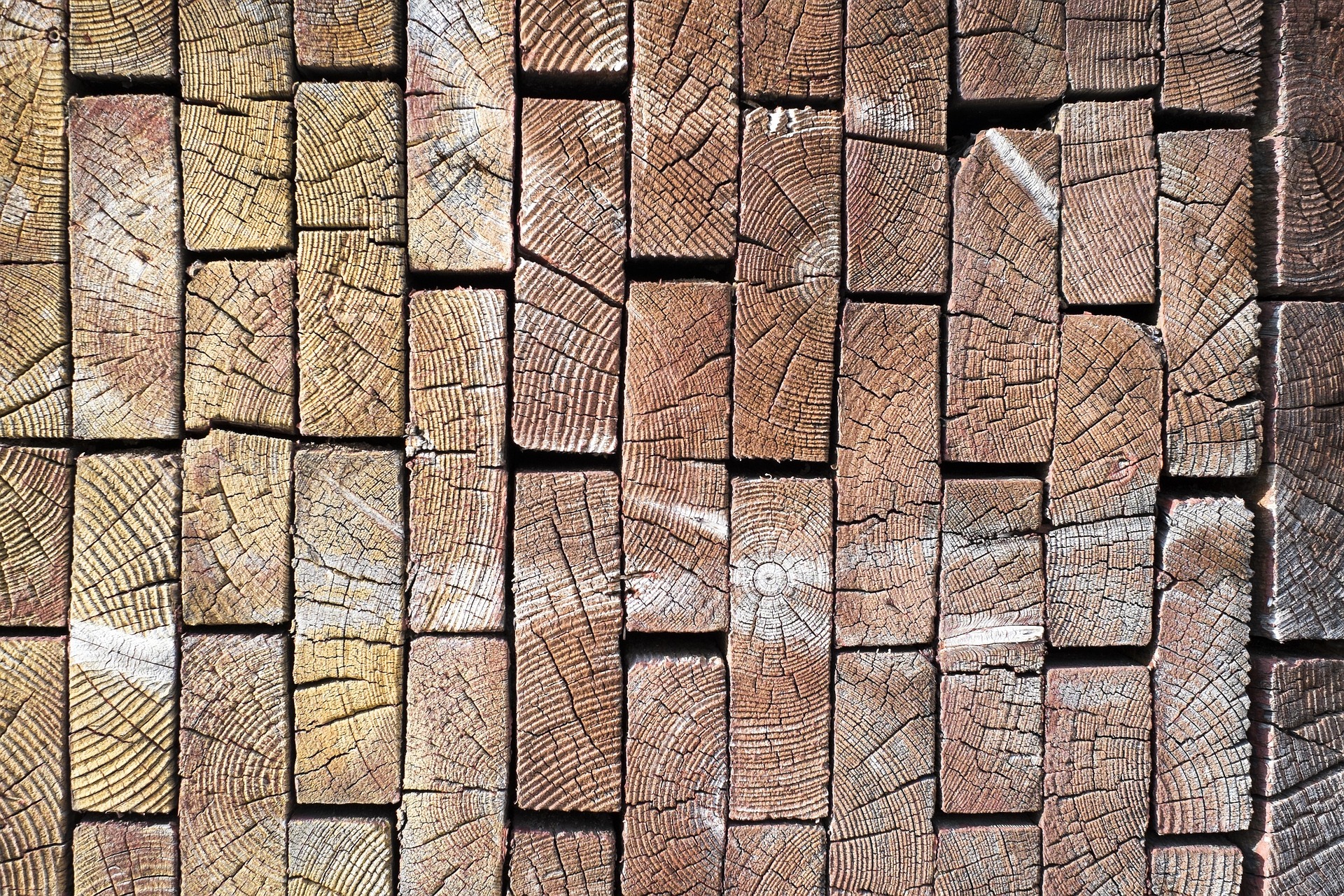 Taking The Plank Out Of Our Own Eye by Charles Sledge