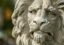 3 Unfortunate Realities of Manhood You Should Just Accept (Legends Of Men) by Charles Sledge