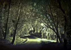 Happy New Years & The Upcoming Year by Charles Sledge