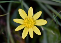 Finding Fulfillment In Work by Charles Sledge