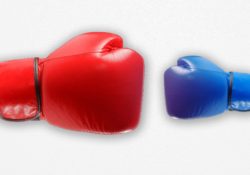 Testosterone Vs. IQ...Who Wins? by Charles Sledge