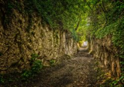 Some Words On Happiness, Fulfillment, &...God's Will? by Charles Sledge