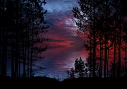 Check Out My Guest Post On Barbarian Rhetoric by Charles Sledge.com Reclaim Your Freedom