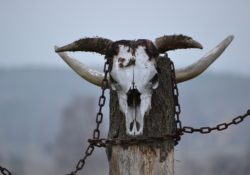 The Importance Of Resavaging Yourself by Charles Sledge.com Reclaim Your Freedom