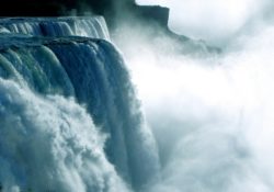 Members Only Post #49 - The Stages Of Development by Charles Sledge.com Reclaim Your Freedom